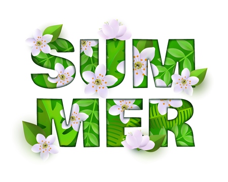 Vector summer inscription with green leaves, meadow abstract white flowers isolated background. Store, shop summer sale poster template for discounts campaign floral elementのイラスト素材