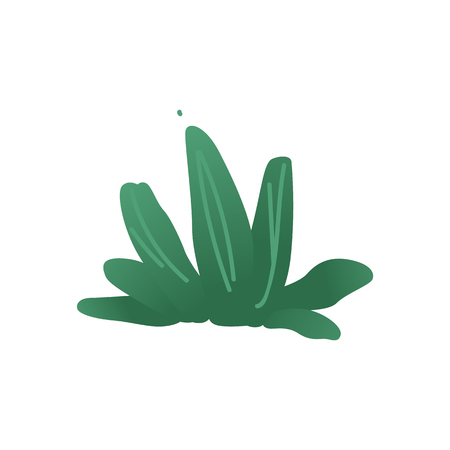 Vector abstract green bush, tree with wide foliage, symbol of nature, ecology and organic products. Forest or garden plant with summer leaves. Isolated cartoon illustrationのイラスト素材