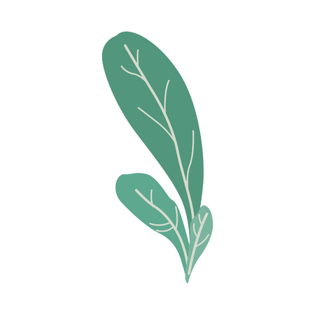 Vector illustration of fantasy plant in trendy flat gradient style - abstract forest or park bush with green foliage isolated on white background. Floral decorative element for natural design.のイラスト素材