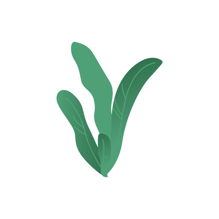 Vector illustration of fantasy shrub in modern flat gradient style. Abstract forest or park plant with green foliage isolated on white background for natural and floral design.のイラスト素材