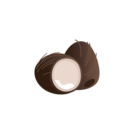 Vector coconut exotic fruit cartoon icon. Tropical food for summer party, seaside vacation design. Healthy food full of vitamins. Natural fresh ingredient for dieting menu. Isolated illustraitonのイラスト素材