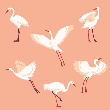 Vector hand drawn crane birds in different positions set. Sketch flying white animals taking off, cleaning feathers, standing. Elegant storks, symbols of china and asia.のイラスト素材
