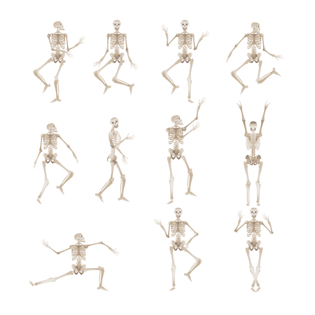 Cheerful skeleton in different poses dancing and jumping for Halloween party design. Scary objects vector illustration isolated on white background.のイラスト素材