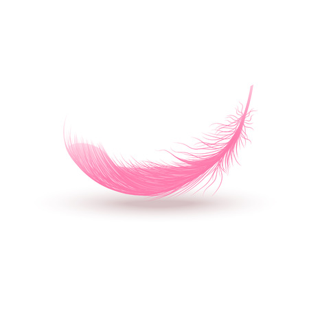 Falling pink fluffy swirled feather close up 3d realistic vector illustration isolated on white background. Design template clipart of angel or bird detailed feather.のイラスト素材