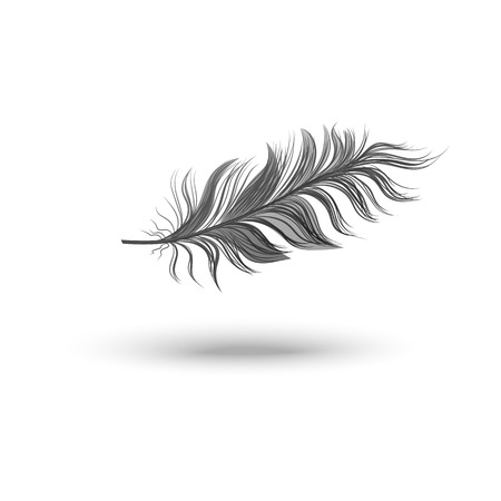 Single fluffy black feather falling or hovering on side realistic style, vector illustration isolated on white background. One dark soft bird feather floating in air and its shadowのイラスト素材