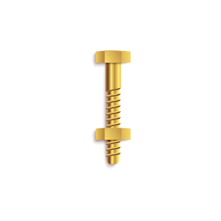 Bolt or screw with washer from golden metal 3d realistic vector illustration isolated on white background. Fastener or fittings for use in the repair related projects.のイラスト素材