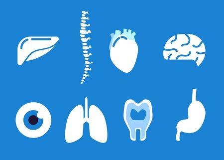 Human organ icons set - medical flat vector illustration collection of anatomy parts - liver, spine, heart, brain, eye, lungs, tooth, kidney isolated on blue background.のイラスト素材
