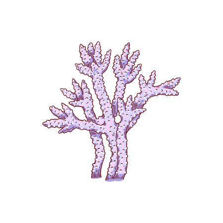 Hand drawn underwater and aquarium tropical coral, isolated vector illustration.のイラスト素材