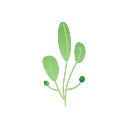 Cute plant branch with green leaves isolated on white background. Small twig with minimalistic round shape - botanical vector illustration.のイラスト素材