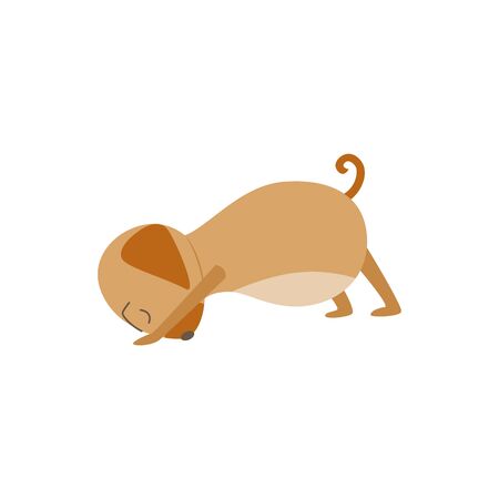 Brown dog stretching in yoga pose, cartoon pet standing in downward facing dog position isolated on white background, funny domestic animal vector illustrationのイラスト素材