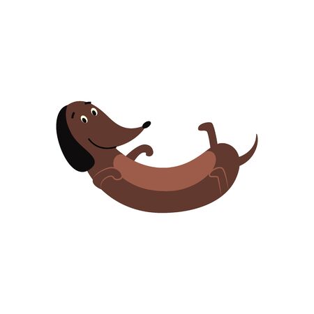 Cute funny dachshund or teckel puppy laying on back - flat cartoon vector illustration isolated on white background. Lovely small dogs breed and domestic animal symbol.のイラスト素材