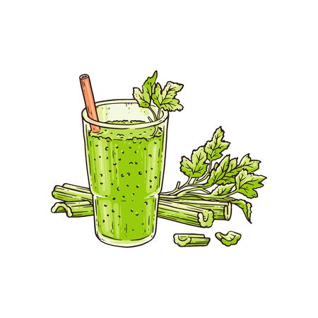 Celery smoothie in glass - healthy green blended vegetable drink for summer detox or vitamin nutrition with straw and leaf garnish. Isolated flat drawing vector illustration.のイラスト素材