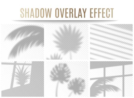 Set of transparent tropical leaves and window shadow overlay effects, realistic vector illustration isolated on transparent background. Natural lighting for branding.のイラスト素材