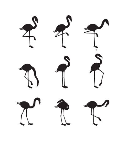 Set of african flamingo black outline silhouettes in various poses, vector illustration isolated on white background. Exotic tropical bird icons or symbols collection.のイラスト素材