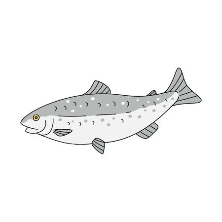 Grey trout fish drawing isolated on white background - sea animal with open eye hand drawn in doodle style. Flat vector illustration.のイラスト素材