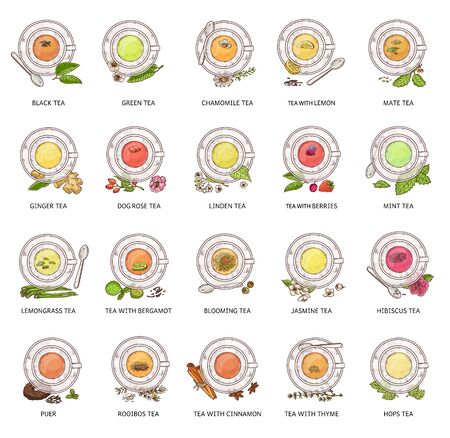 Different tea types - vector illustration set. Colorful herbal drink collection in glass teacup and plate seen from top view, isolated beverages with flower, hand drawn fruit and berries arrangementのイラスト素材