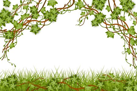 Jungle tropical lianas vine with leaves banner for wedding and invitations cards vector illustration isolated on white background. Exotic summer plants frame or border.のイラスト素材