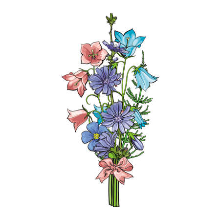 Vector cornflower, bellflower and flax bouquet with pink silk ribbon bow. Floral romantic meadow summer, spring sketch illustration for dating, wedding, marriage or romantic event design isolatedのイラスト素材