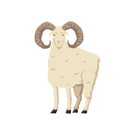 White cartoon ram sheep with curved horns isolated on white background - domestic farm animal with serious expression, flat vector illustrationのイラスト素材