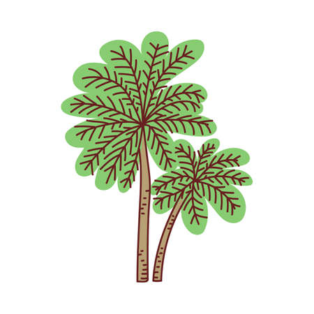 Palm tree in sketch style icon or symbol cartoon vector illustration isolated on white background. Tropical summer exotic plant and vacation journey symbol.のイラスト素材