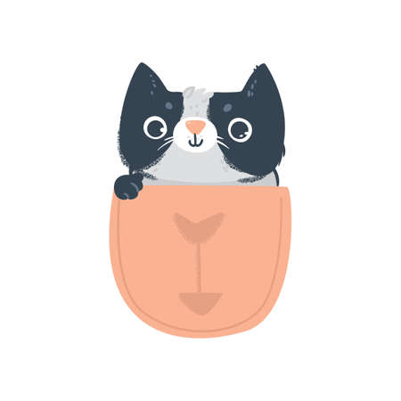 Cute cat or kitten character in pocket with fish bone, flat vector cartoon illustration isolated on white background. T-shirt graphics and children print design.のイラスト素材