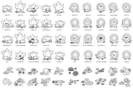 Black and white tea types drawing set - vector illustration. Various herbal drinks inside teacup, teapot or fresh form in monochrome coloring book styleのイラスト素材