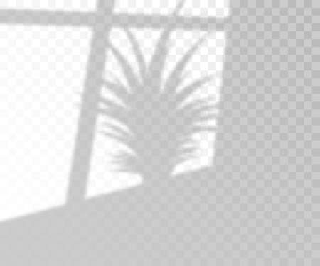 Natural lighting overlay palm tree shadow, 3d realistic vector illustration isolated on transparent background. Tropical leaves on wall sunlight effect template.のイラスト素材
