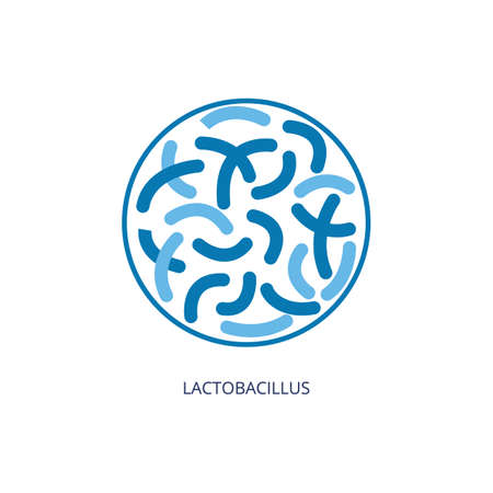 Lactobacillus probiotic icon inside circle - fermentation products seen from under the microscope in...