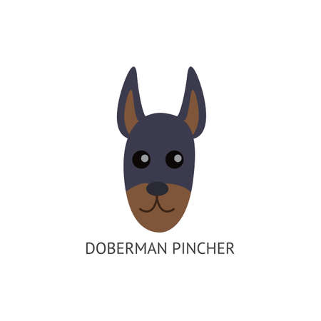 Elegante Doberman Pincher face or head, dog breeds card flat cartoon vector illustration isolated on white background. Funny purebred domestic animal or puppy pet.のイラスト素材