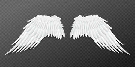 Paired angel or bird white wings template, realistic vector illustration isolated on transparent background. Feather covered wings symbol or emblem mockup.のイラスト素材