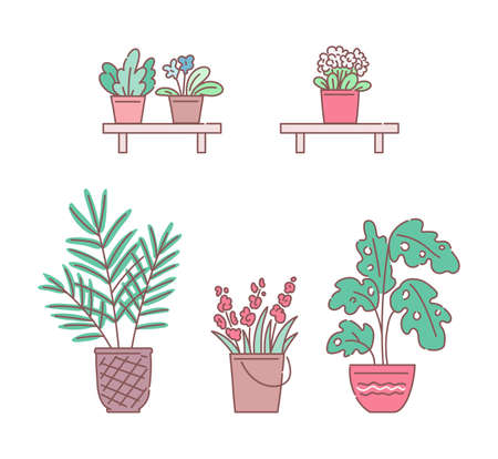 Flowers and plants in pots set of sketch vector illustrations isolated on white background. Houseplanting and florist shop cartoon elements collection.のイラスト素材