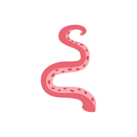 Serpentine curved tentacle of sea octopus or squid, flat vector illustration isolated on white...