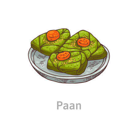 Asian or Indian traditional dish the ripe Areca Nut wrapped with Betel leaves, known as Paan, hand drawn cartoon vector illustration isolated on white background.のイラスト素材
