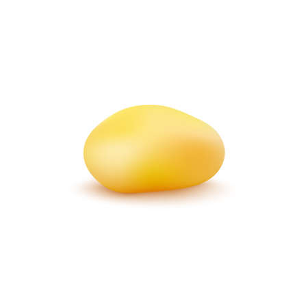 Yellow peeled potato. Boiled or baked tasty food, yellow vegetable snack. Raw ingredient for cooking lunch. Vector realistic 3d illustration isolated on white background.のイラスト素材