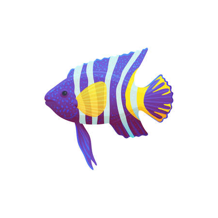 Fancy colorful tropical ocean or sea fish, flat cartoon vector illustration isolated on white...