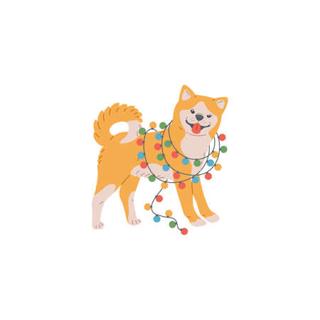 Akita inu or shiba inu dog japanese breed cute pet with colorful holiday garlandのイラスト素材