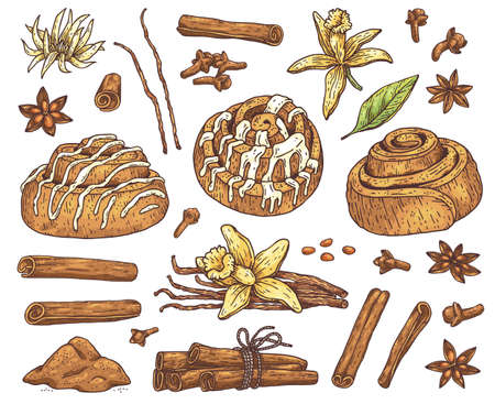 Kitchen cooking herbs and spices set, hand drawn vector illustration isolated.のイラスト素材