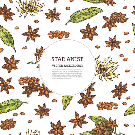 Background with anise spice and frame for text, engraved vector illustration.のイラスト素材