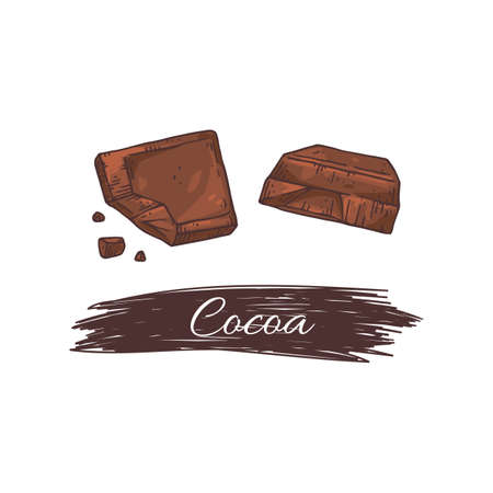 Cocoa chocolate drawing concept - taste sweet dessert piecesのイラスト素材