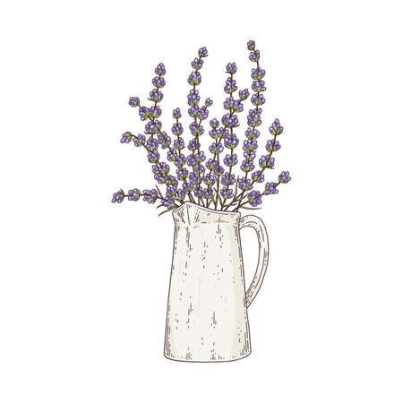Beautiful bouquet lavender flowers in vase a vector sketch illustration.のイラスト素材