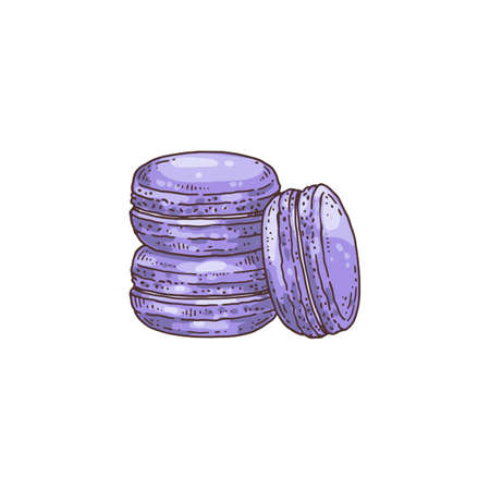 Lavender aromatized macaroons cookies, hand drawn vector illustration isolatedのイラスト素材