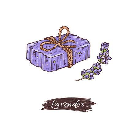 Lavender soap with branch of flowers, hand drawn vector illustration isolated.のイラスト素材