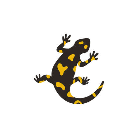 The european fire salamander isolated on white background. Vector illustration of poisonous black amphibian or lizard with yellow spots.のイラスト素材