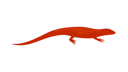 Red little lizard side view. Vector flat illustration of reptile isolated on white background.のイラスト素材