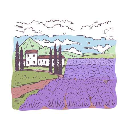 Beautiful country house located next to blooming lavender in Provence, France.のイラスト素材