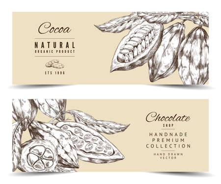 Two vector banners with cocoa beans on branches with leaves.のイラスト素材