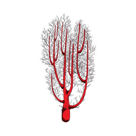 Ocean coral plant or underwater seaweed branch, vector illustration isolated.のイラスト素材