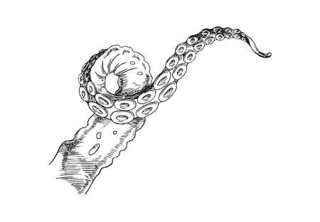 Octopus tentacle sketch. Vector black and white hand drawn illustration of single tentacle of marine animal.のイラスト素材