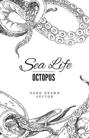 Octopus tentacle banner template in sketch style, vector illustration on white background.のイラスト素材
