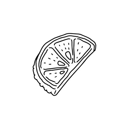 Lemon or orange fruit in hand drawn doodle style, vector illustration isolated on white background.のイラスト素材